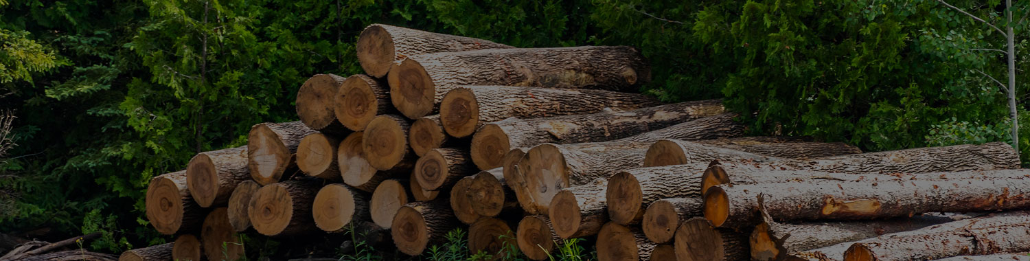 고품질 집성재 건조재